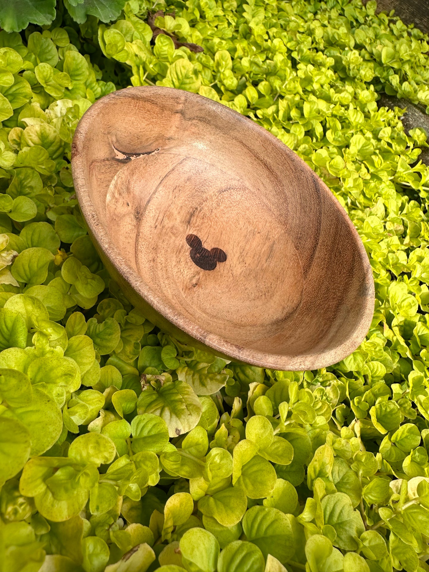 Hidden Mickey Trinket Dish